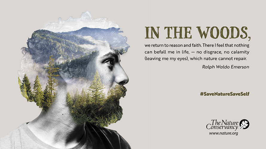 Image of a print ad, with a double exposure of a man's profile merged with a mountainous forest